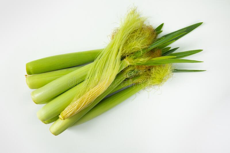 Baby Corn Unpeeled 250 Gms